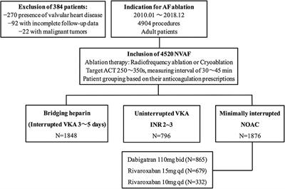 Minimally Interrupted Non-Vitamin K Antagonist Oral Anticoagulants vs. Bridging Therapy and Uninterrupted Vitamin K Antagonists During Atrial Fibrillation Ablation: A Retrospective Single-Center Study